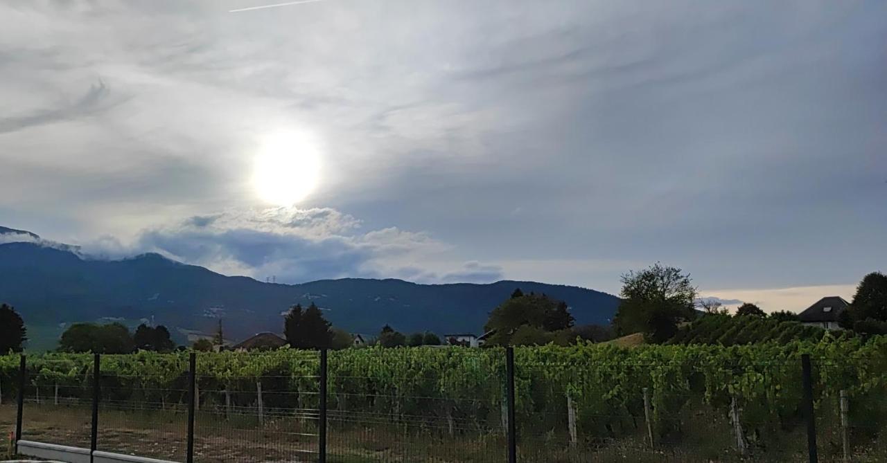 Chambre Au Coeur Des Vignes Myans Eksteriør bilde
